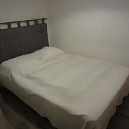 Confortable Face Aux Telecabines, Proche Loisirs Avec Parking Et Animaux Admis A - Fr-1-629-54